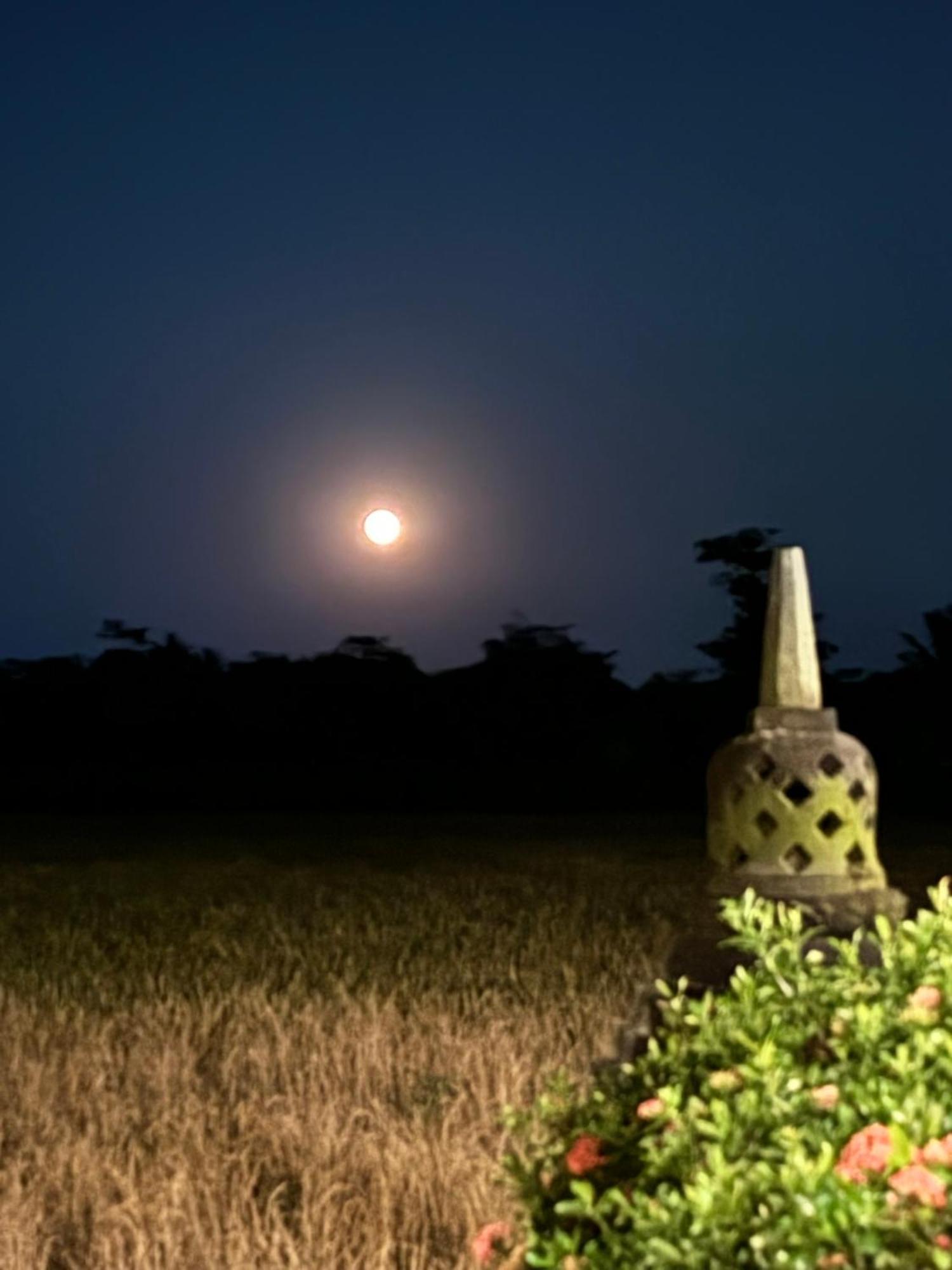 Rumah Dharma Magelang Exteriér fotografie